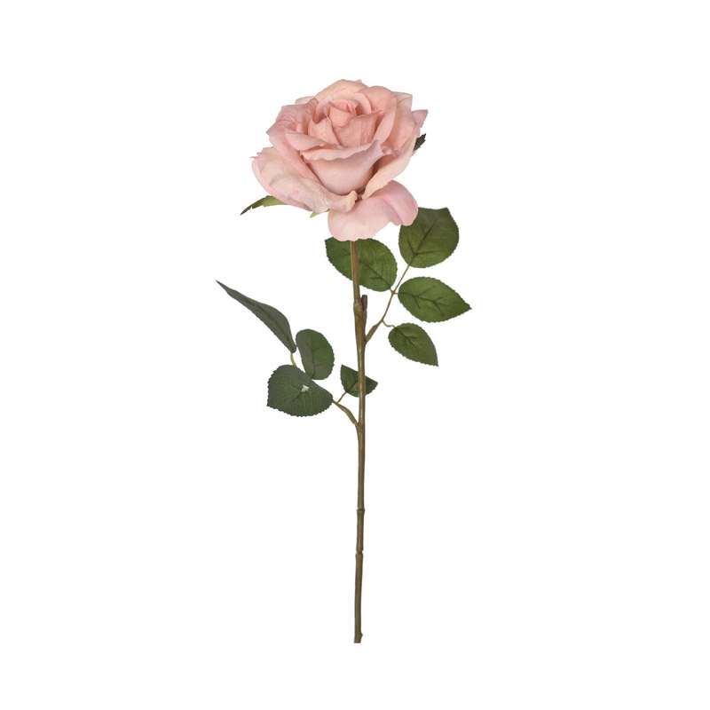 Rose Stem - Blush Pink