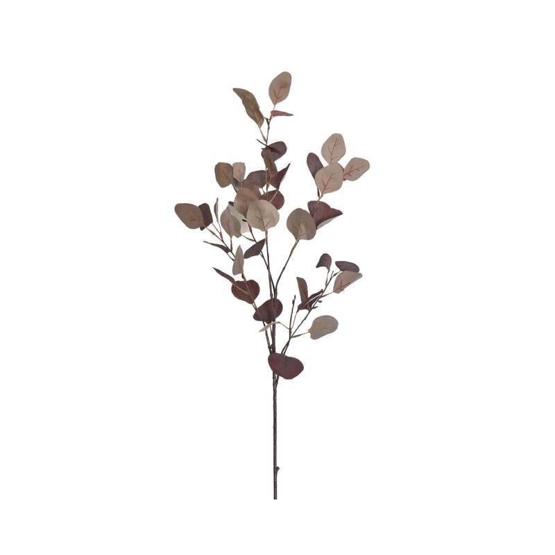 Burgundy Eucalyptus Stem