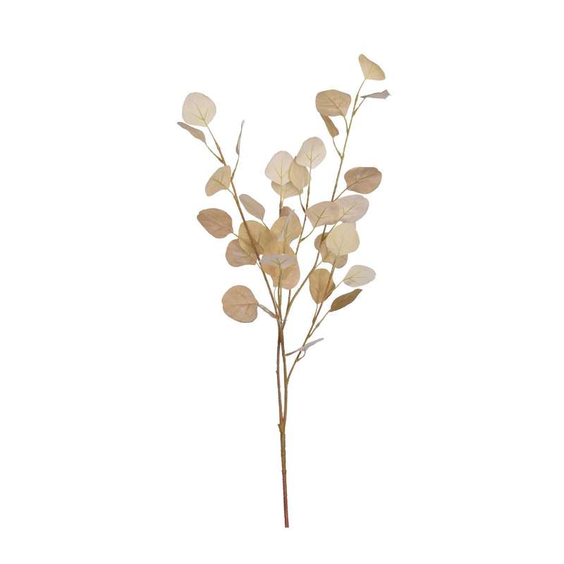 Cream Eucalyptus Stem