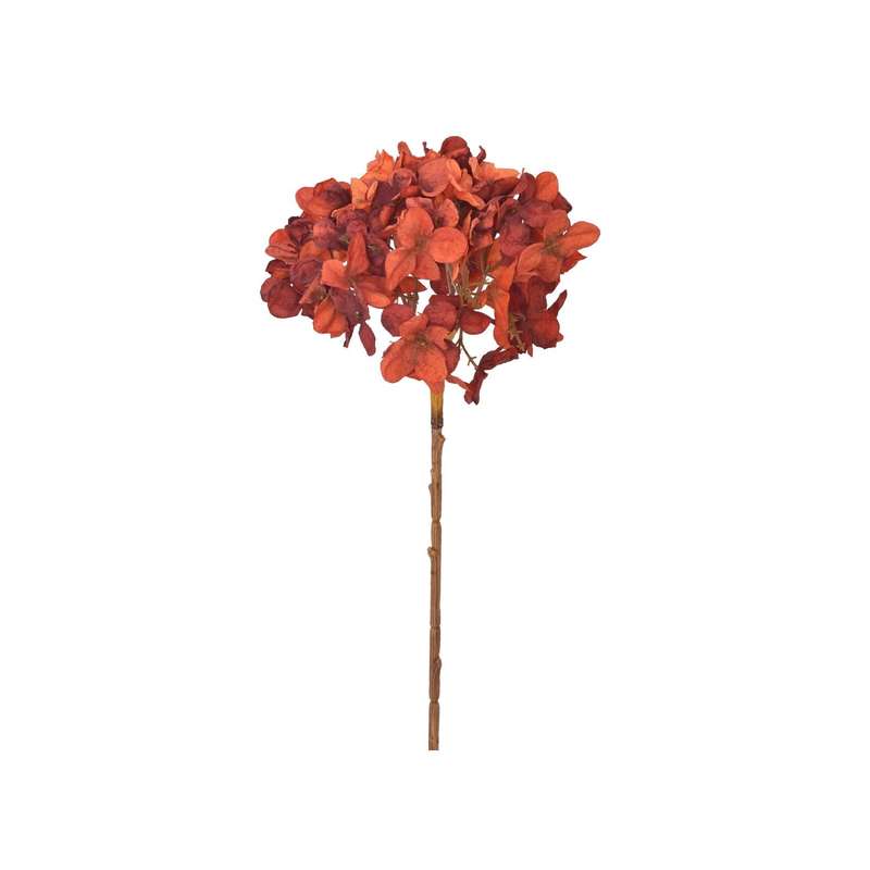 Dark Orange Dried Hydrangea Stem