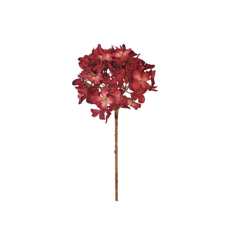 Deep Red Dried Hydrangea Stem