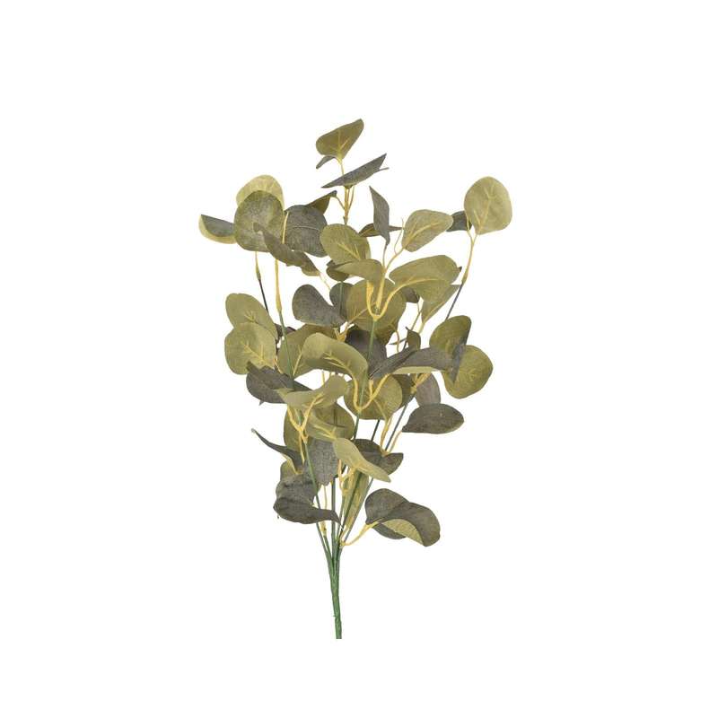 Eucalyptus Bush Stem