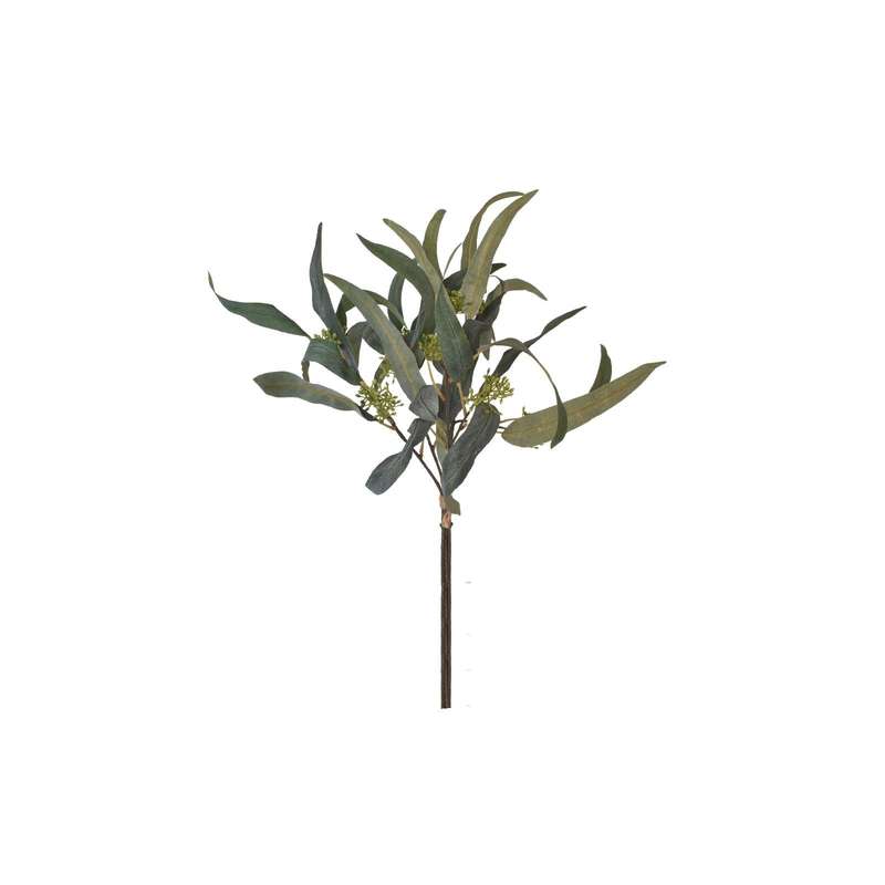 Eucalyptus Bush Stem