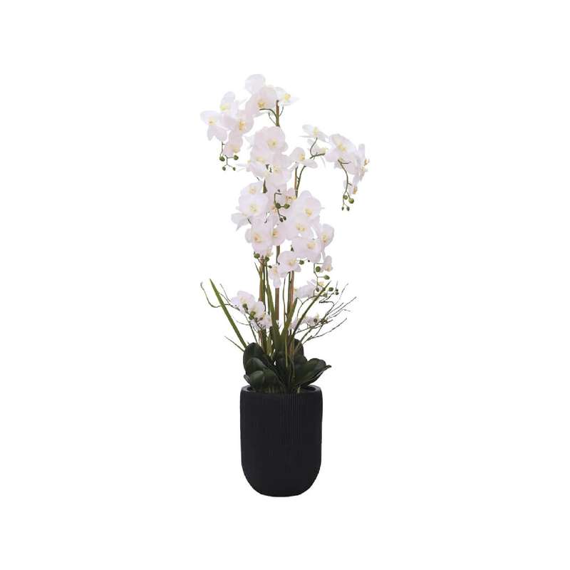 Floor Standing White Real Touch Orchid