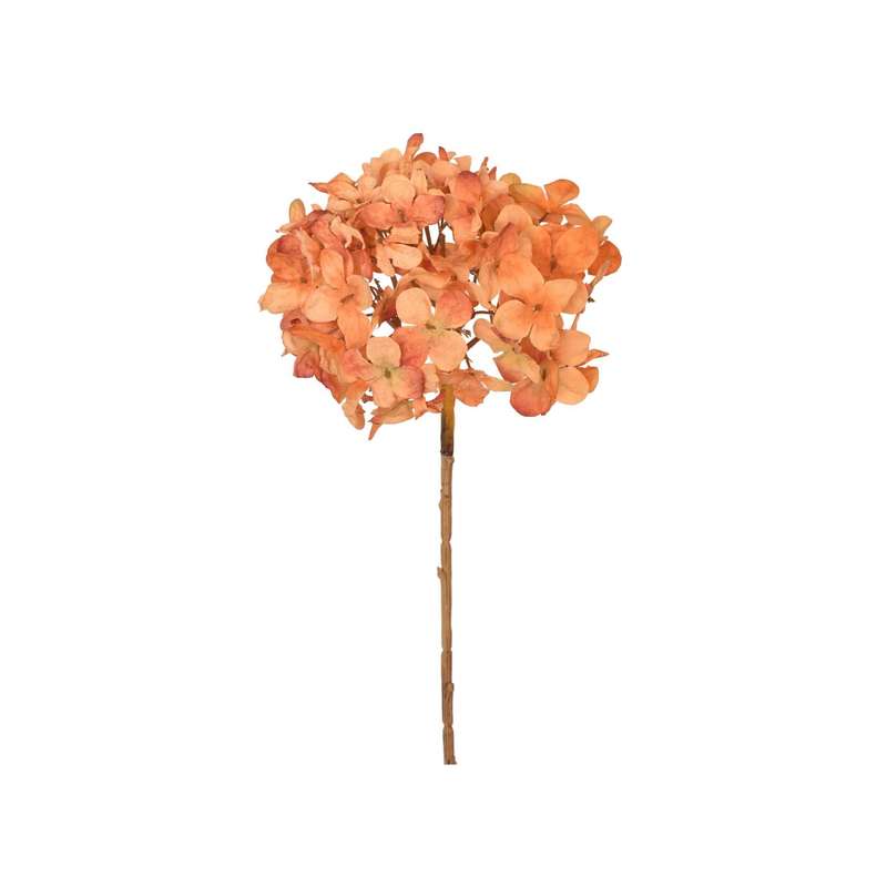 Light Orange Dried Hydrangea Stem