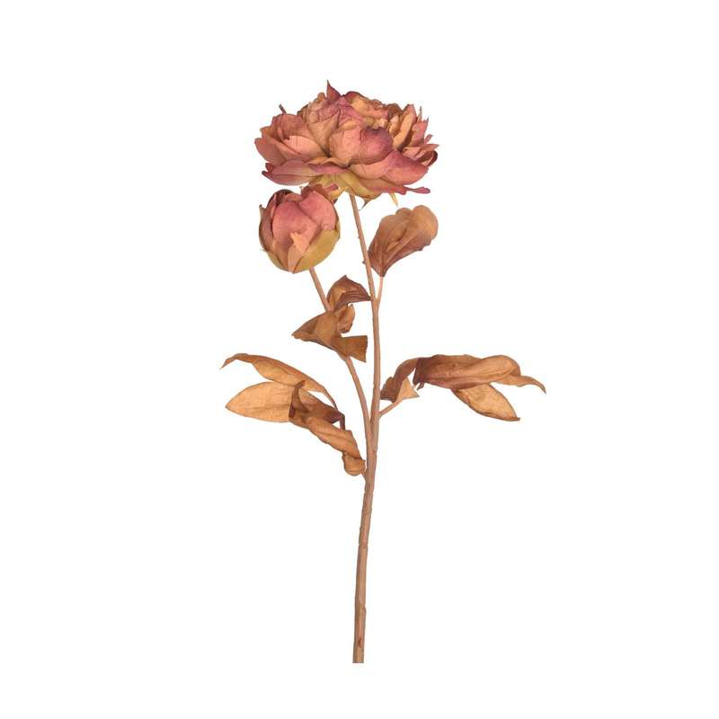 Mauve Dry-Look Peony Stem