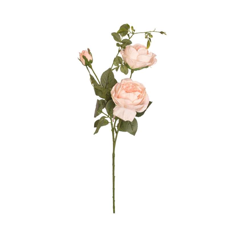 Multi-Blossom Pink Rose Stem