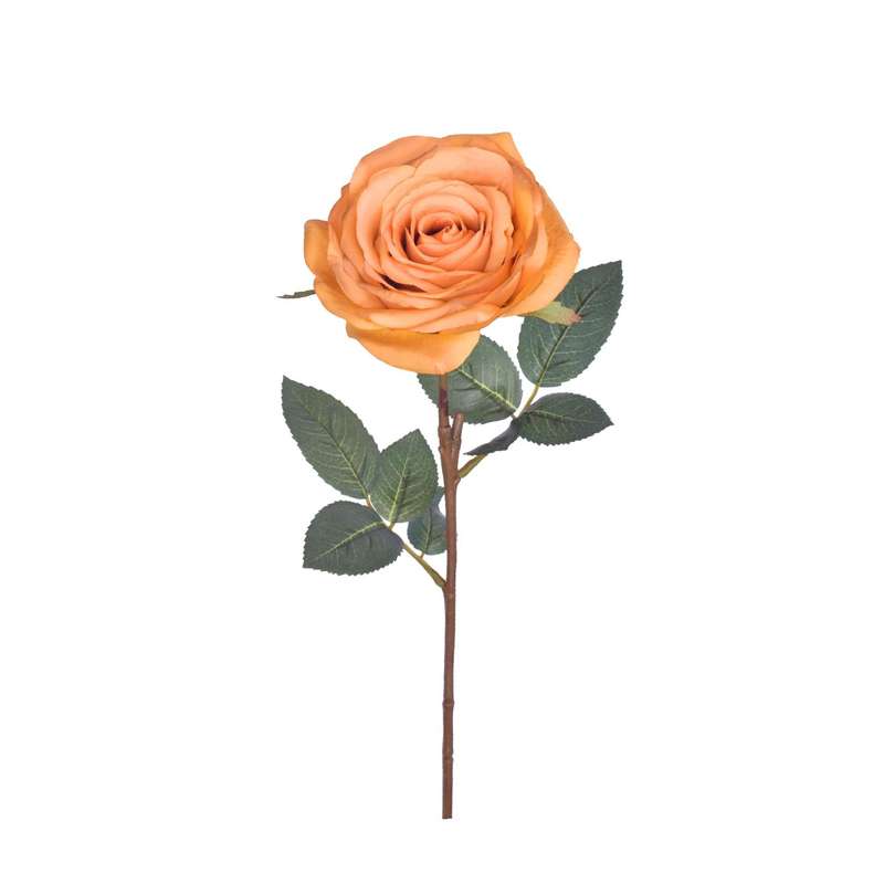 Orange Rose Stem