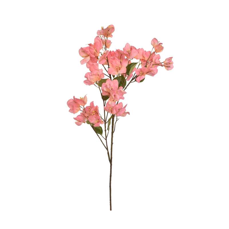 Peach Bougainvillea Stem