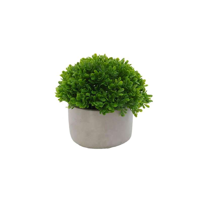 Pearl Grass in Cement Pot