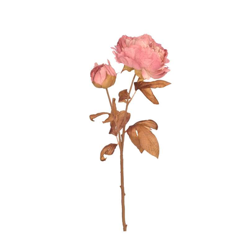 Pink Dry-Look Peony Stem