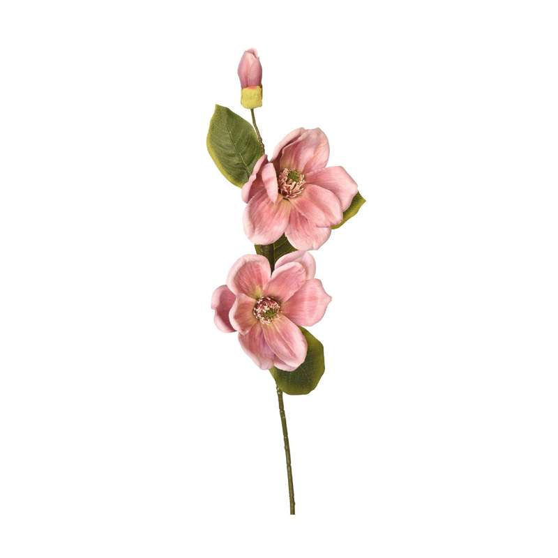 Pink Magnolia Stem