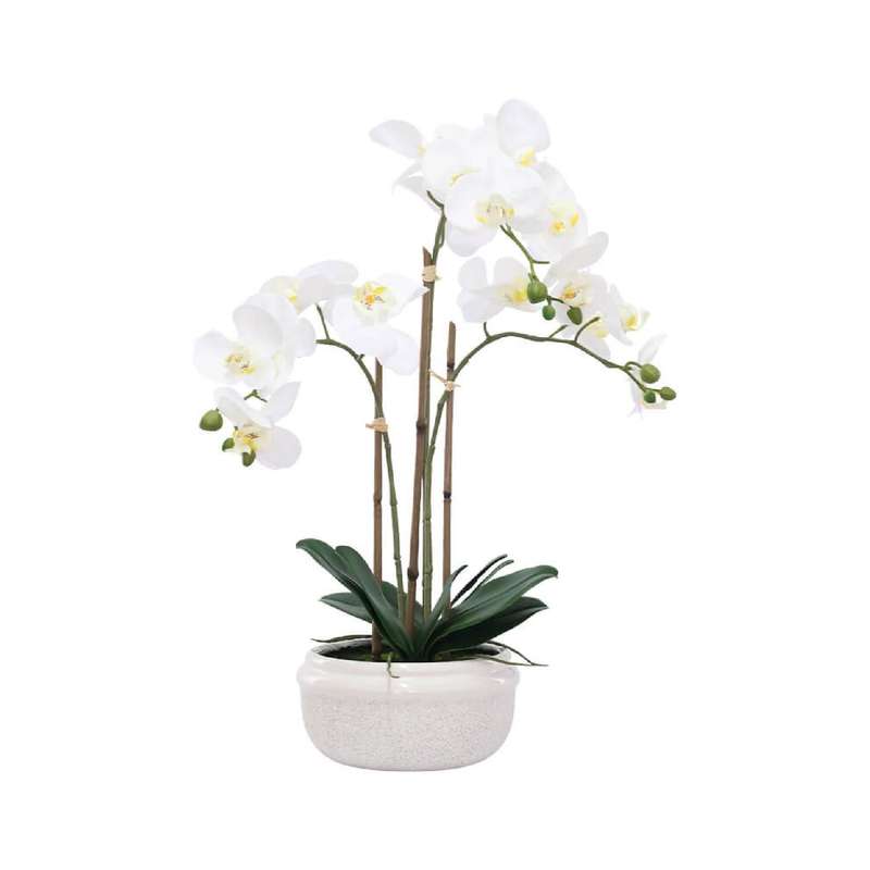 Potted White Real Touch Orchid