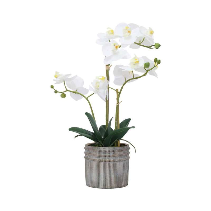Real Touch White Orchid in Pot