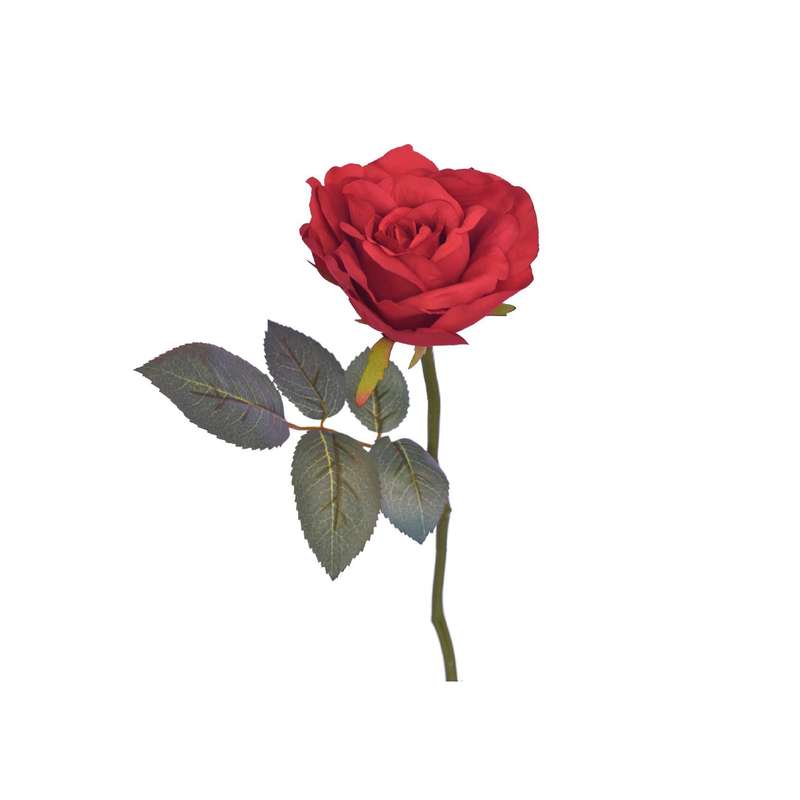 Red Georgia Rose Stem