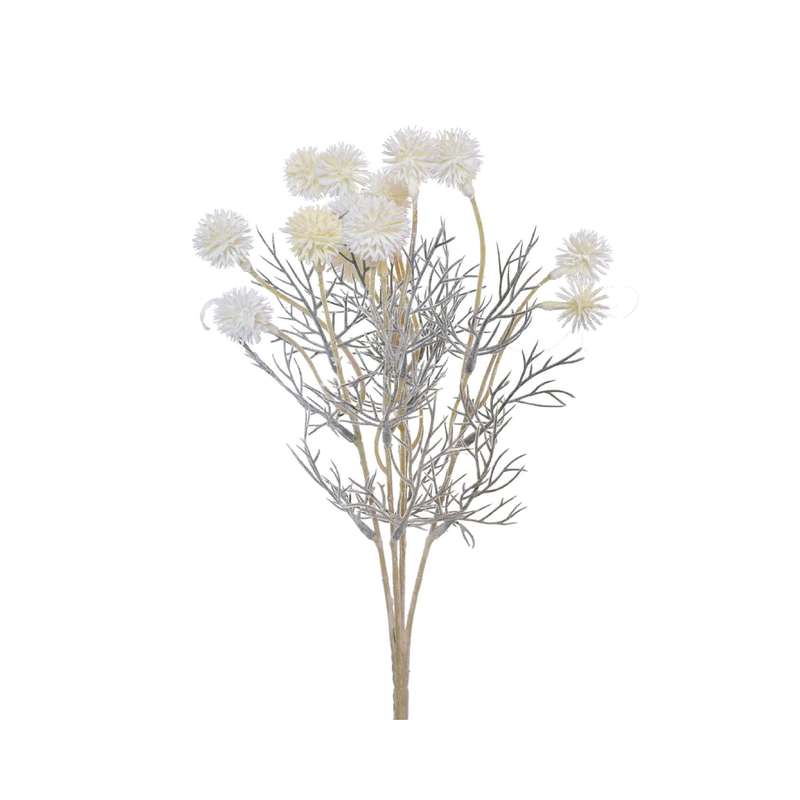 White Dried Flower Bush