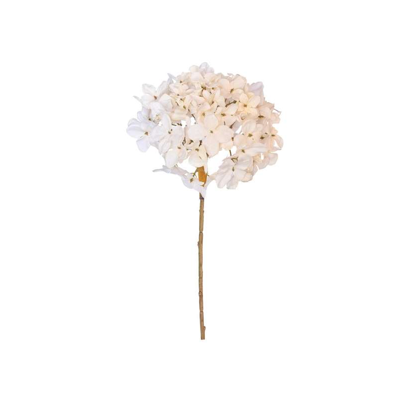 White Dried Hydrangea Stem