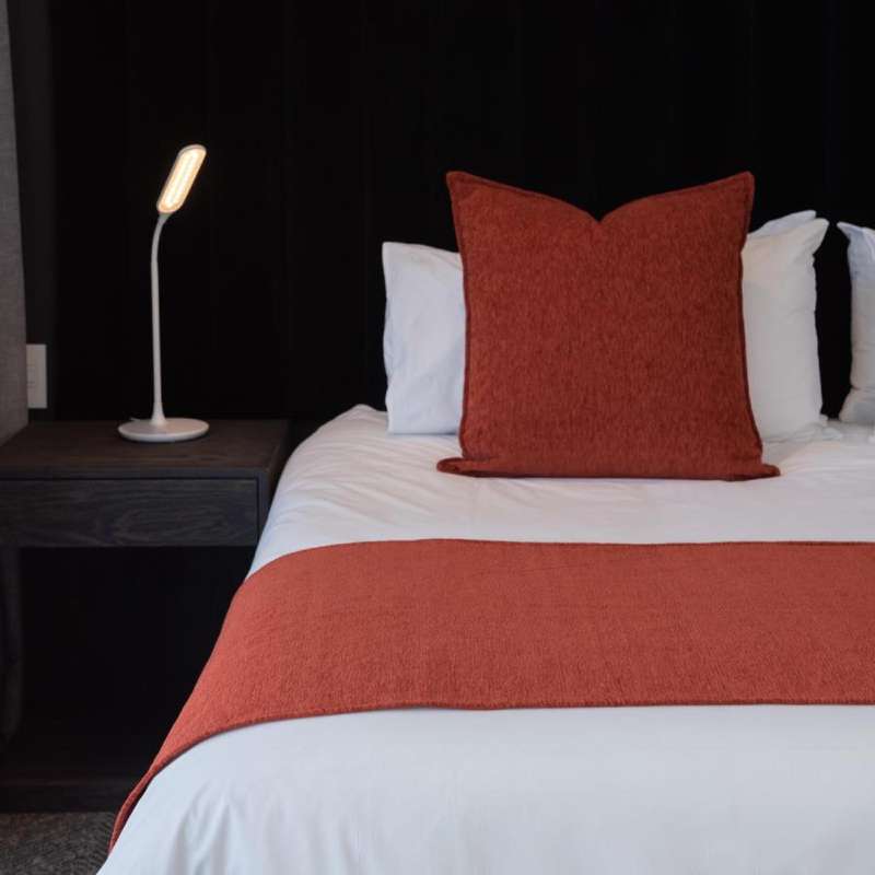 Cinnabar Chenille Scatter Cushion