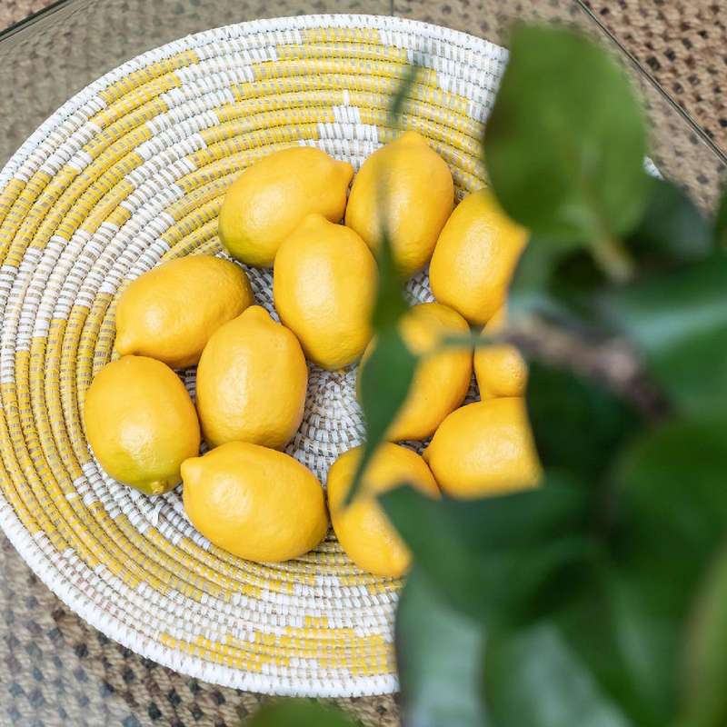 Faux Yellow Lemon Set