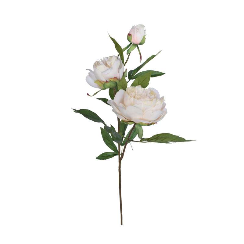 Multi-Blossom White Peony Stem