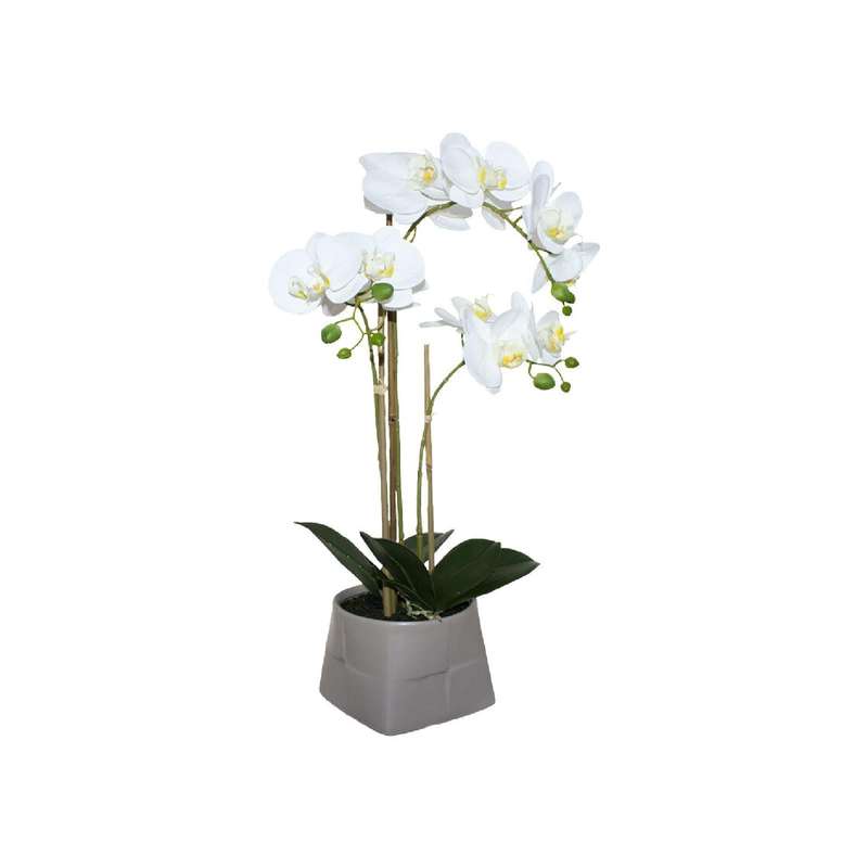 Potted Orchid in Beige Planter