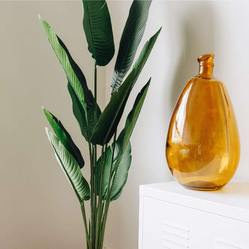 Organic Amber Glass Vase