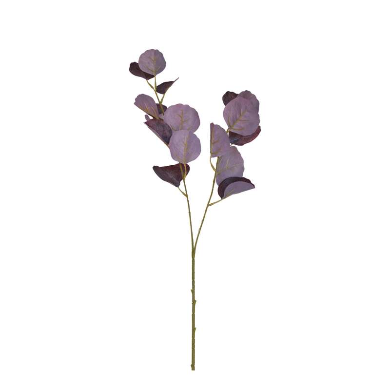 Burgundy Eucalyptus Stem