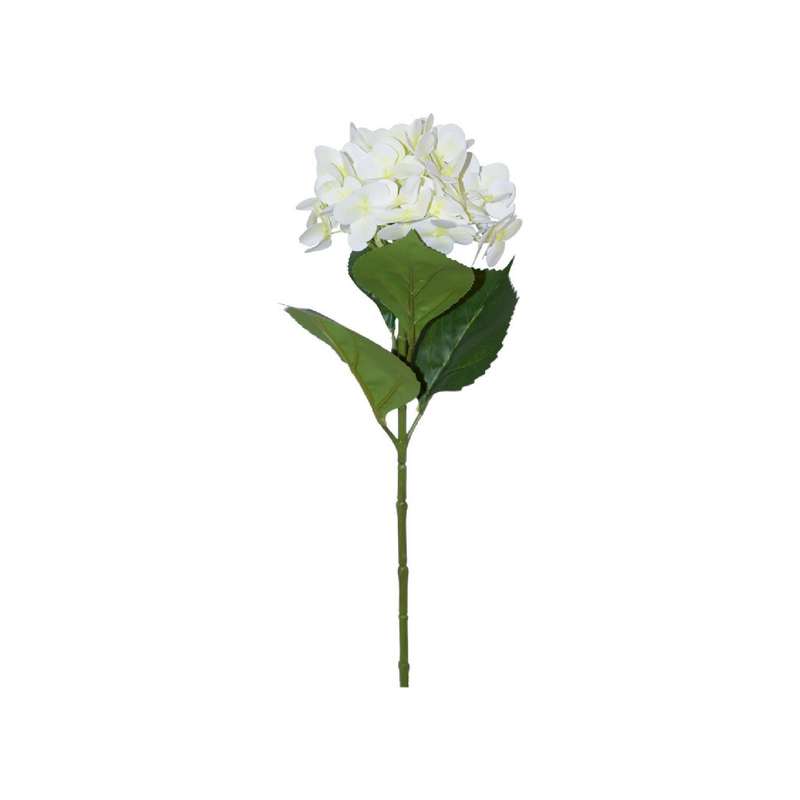 Cream Hydrangea Stem