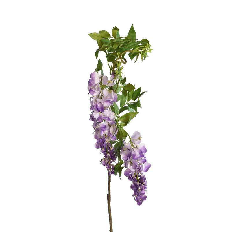 Lavender Wisteria Stem