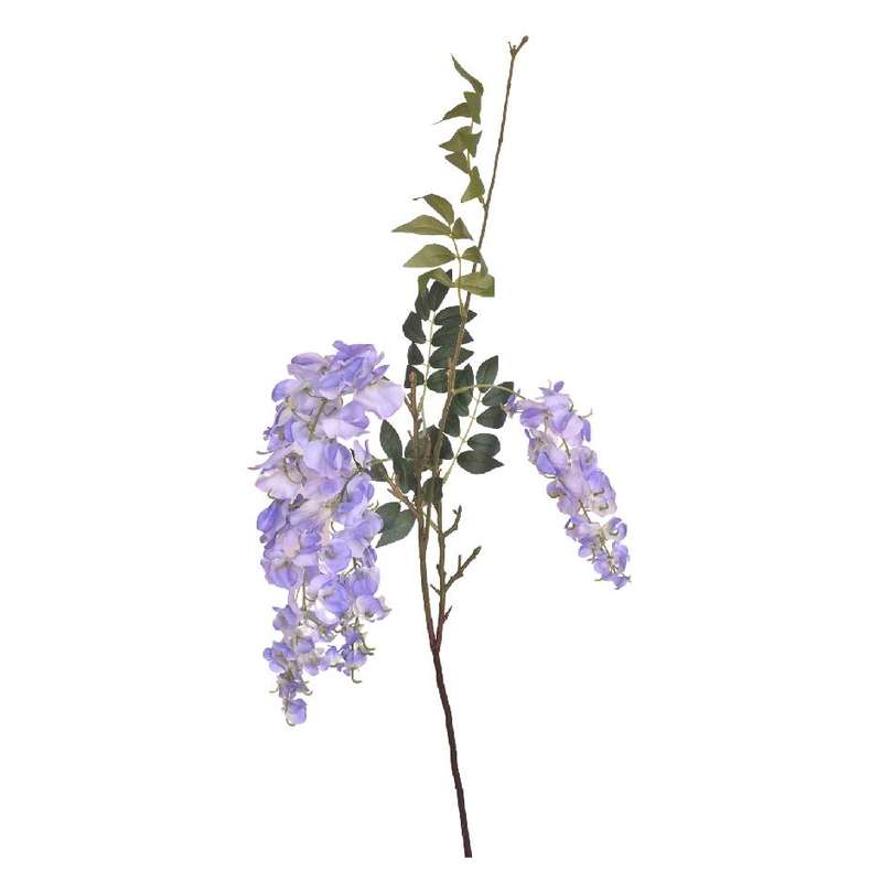 Lilac Wisteria Stem