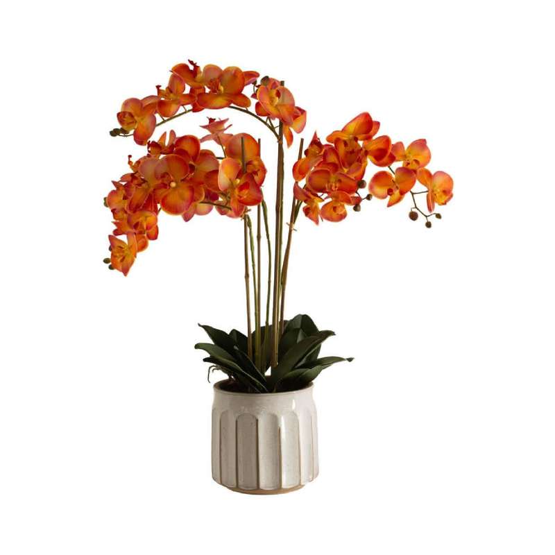 Orange Real Touch Orchid in Pot
