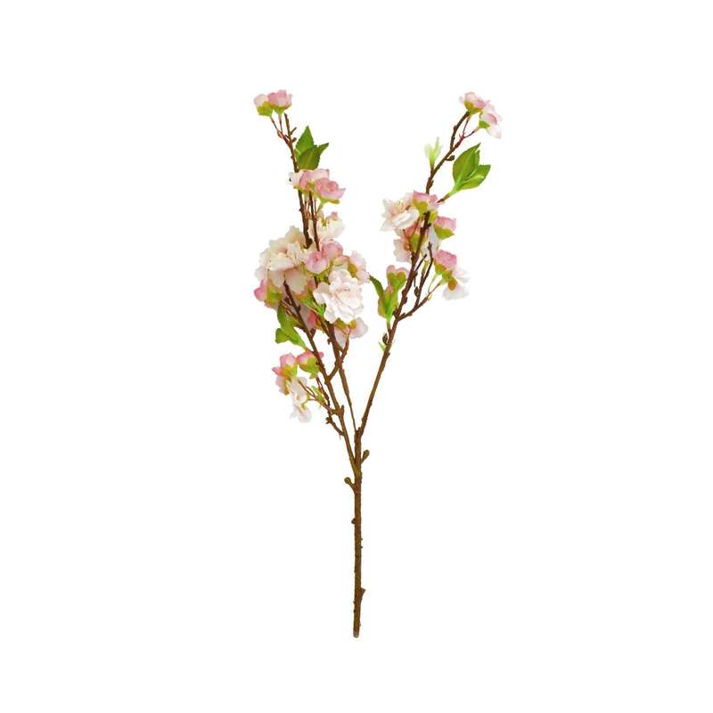 Pink Cherry Blossom Stem