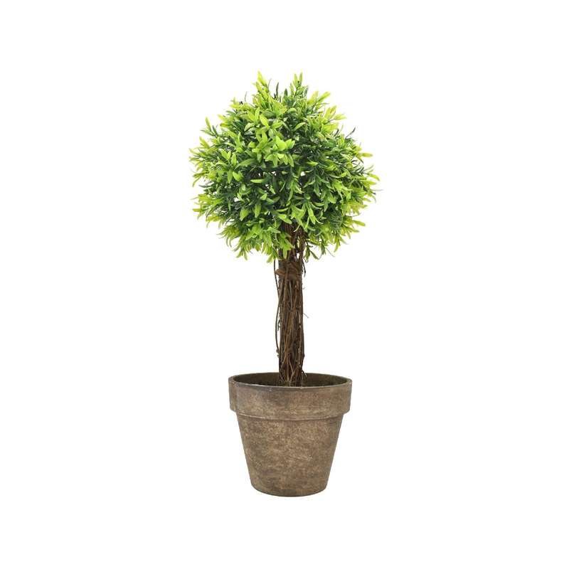 Potted Topiary Tree