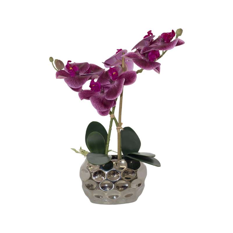 Purple Orchid in Ceramic Pot