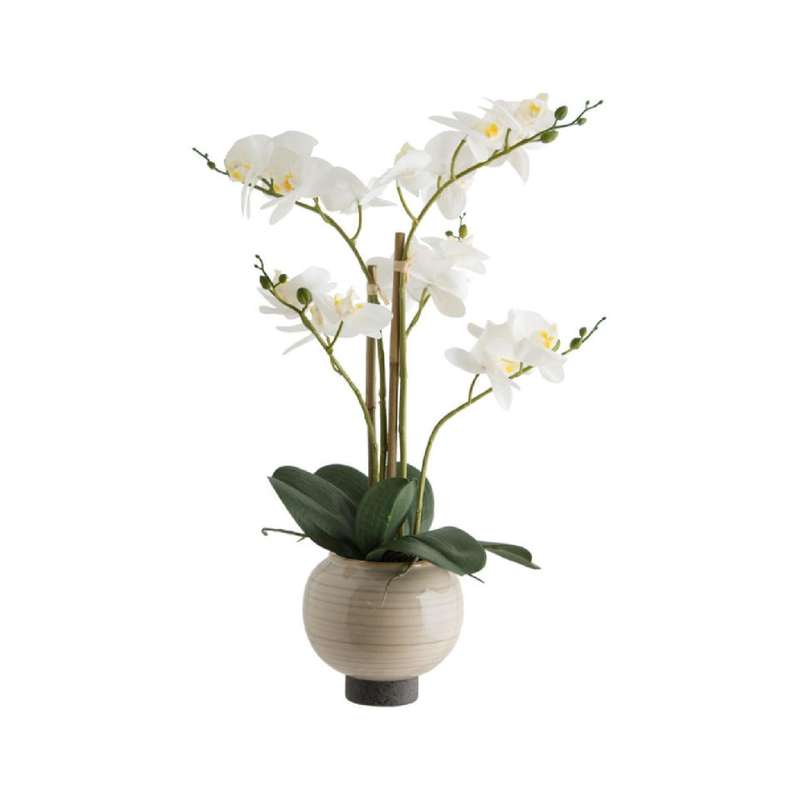 Real Touch White Potted Orchid