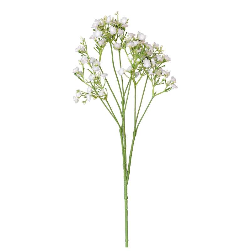 White Baby Breath Stem