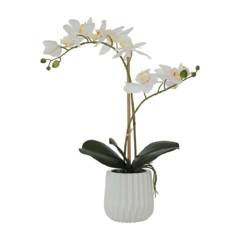 Potted Real Touch White Orchid