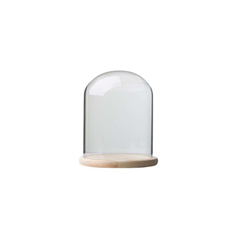 Glass Dome with Pine Base - 12x15cm