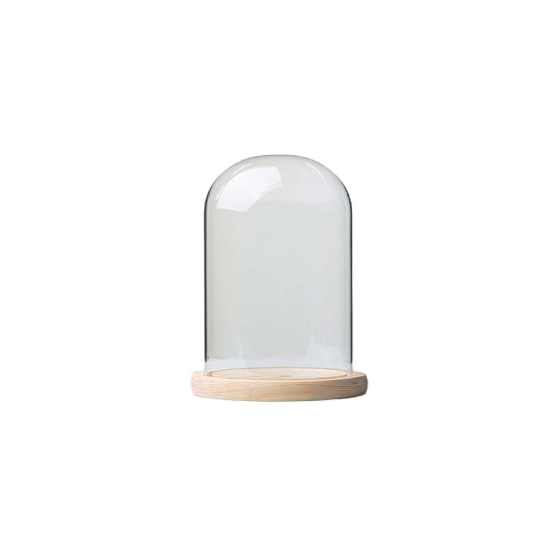 Glass Dome with Pine Base