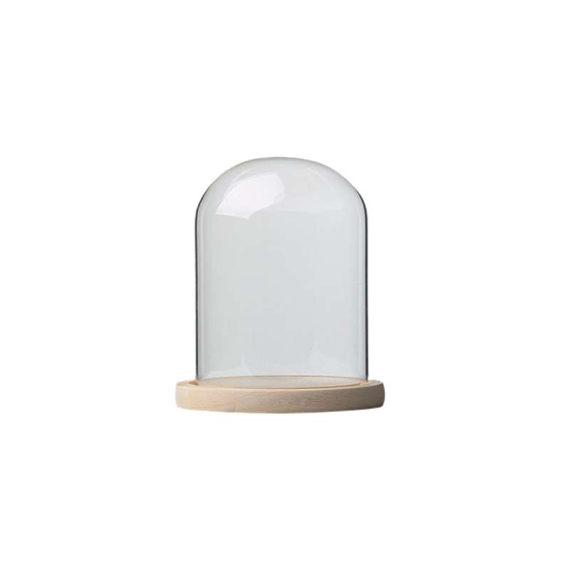 Glass Dome with Pine Base - 15x20cm