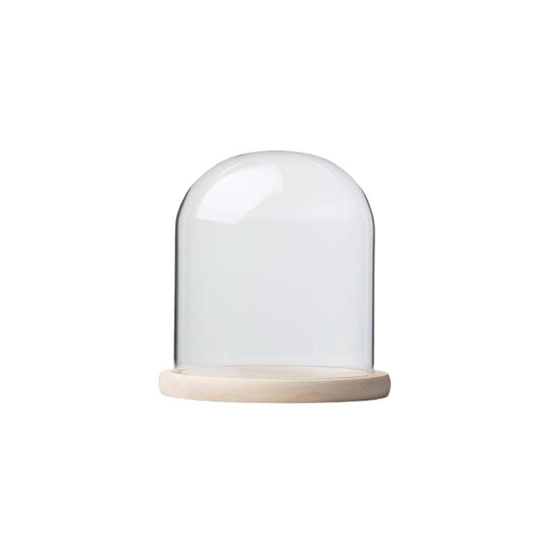 Glass Dome with Pine Base - 20x20cm