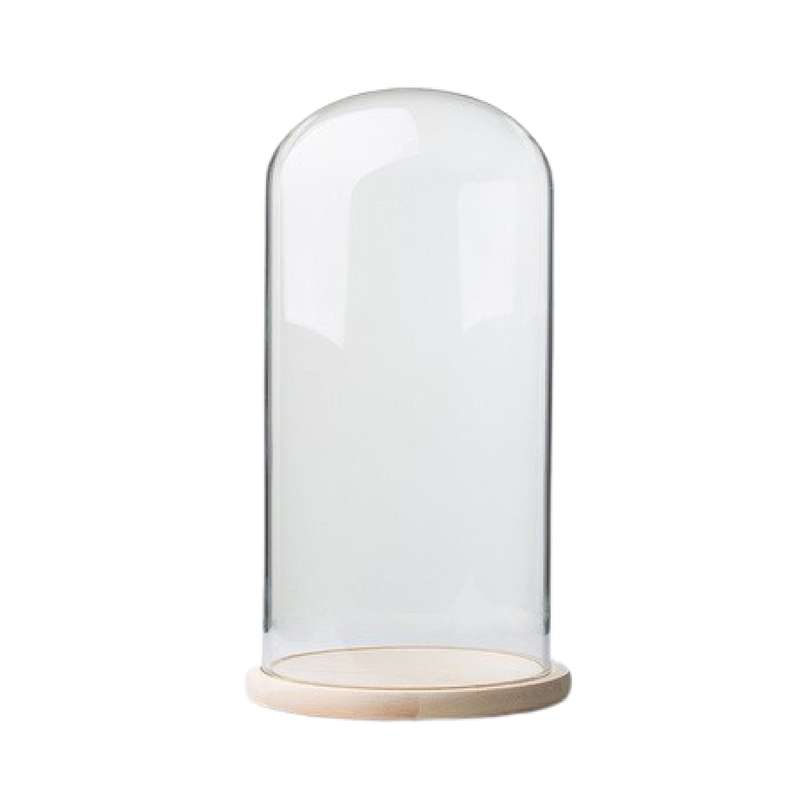 Glass Dome with Pine Base