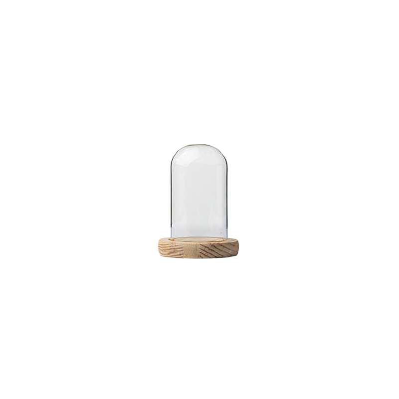 Glass Dome with Pine Base