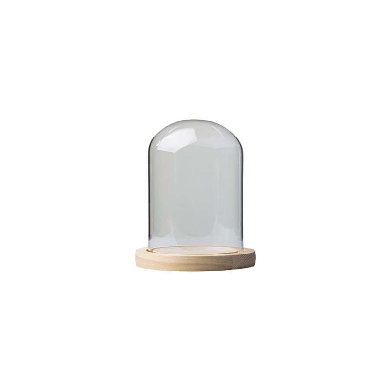 Glass Dome with Pine Base