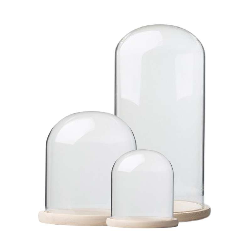 Glass Dome with Pine Base