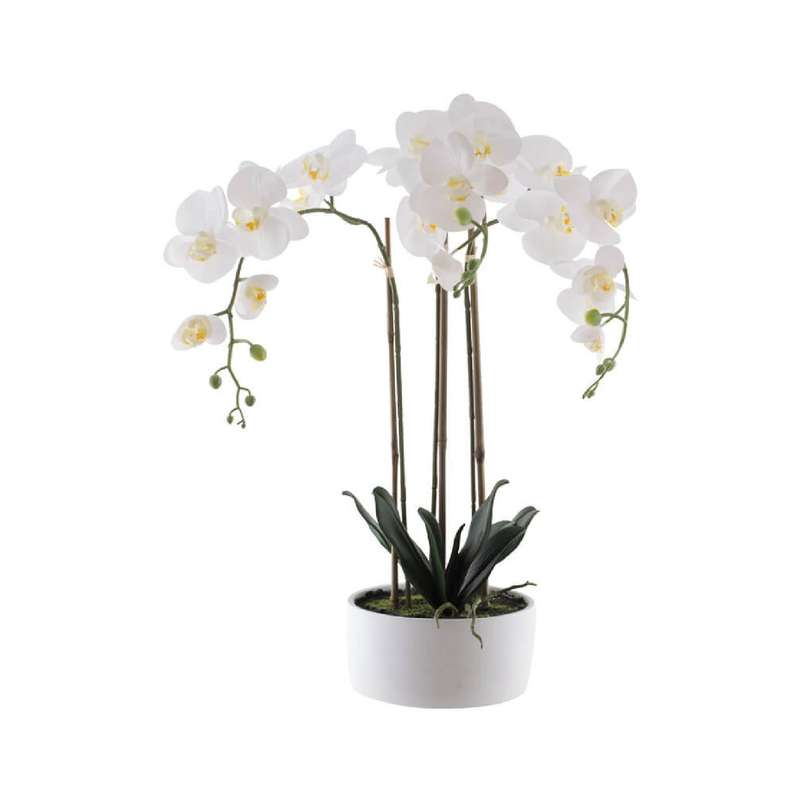 Real Touch Potted White Orchid Plant
