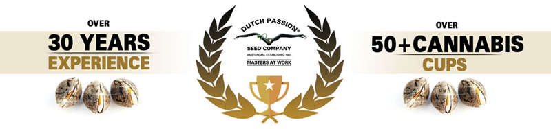 Dutch Passion ComPassion 5% CBD Oil 750mg 15ml