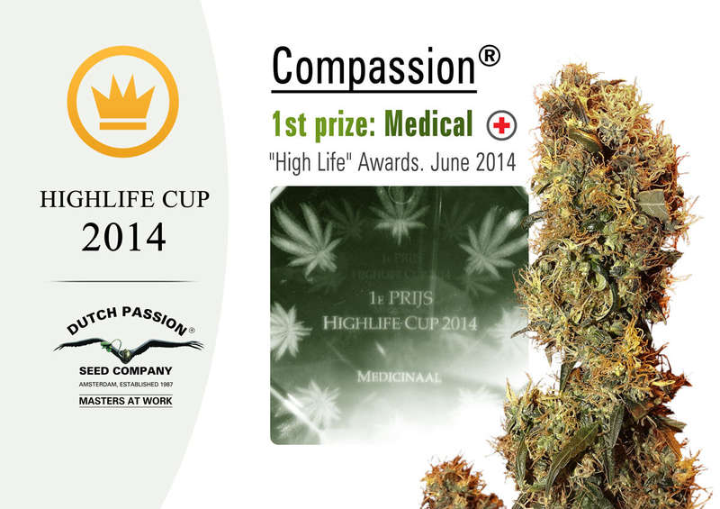 Dutch Passion ComPassion 5% CBD Oil 750mg 15ml