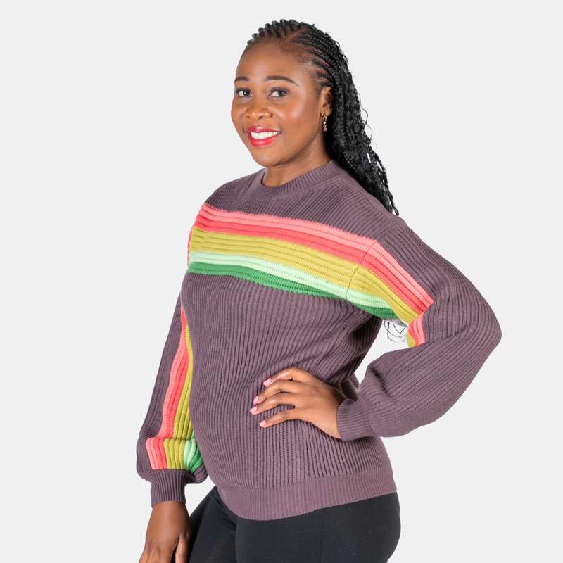 Women's Multicolour Striped Knit Crew Neck Venus Jersey