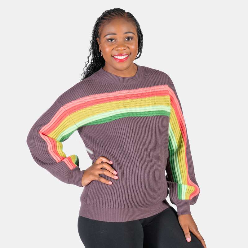 Women's Multicolour Striped Knit Crew Neck Venus Jersey